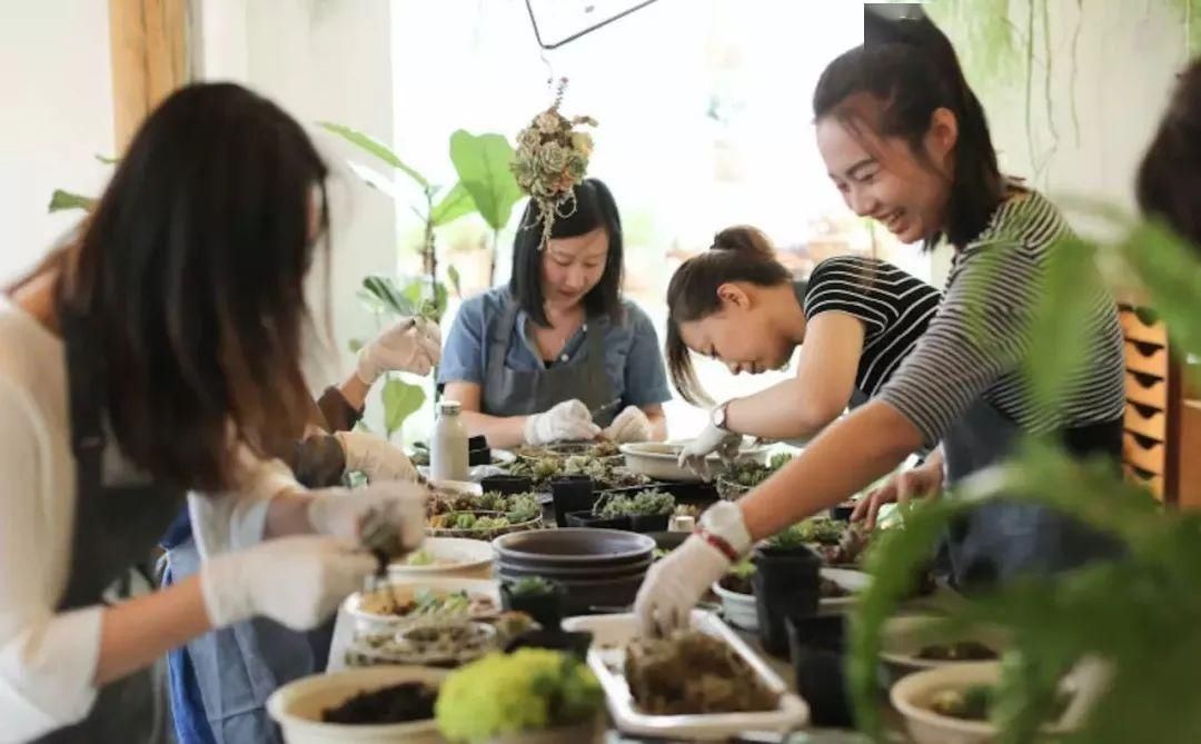  『花房』你在梦想有一个花房的时候，别人家的姑娘已经用一亩地实现了