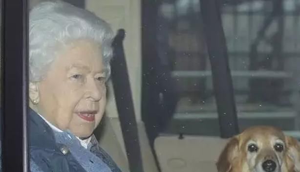  [拒绝]连英国女王都疯狂pick的珍珠，你有理由拒绝？