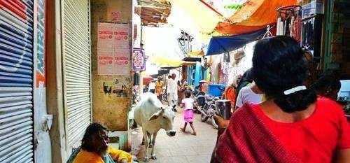 奇葩印度：男女老少在飘满垃圾的恒河里混浴，还用木棍刷牙