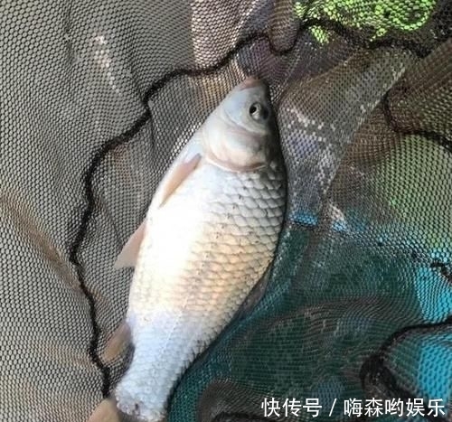  [子线]钓鱼经常缠子线该怎么办？教你3招，完美解决子线缠绕难题