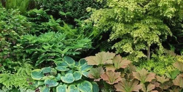 庭院入户常见景观的风格选择