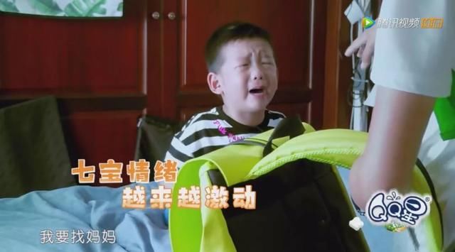 何洁为儿子怒斥媒体：你的良心被狗吃了么！