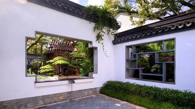 国内最大的专类盆景园,江南园林海派风格美不胜收