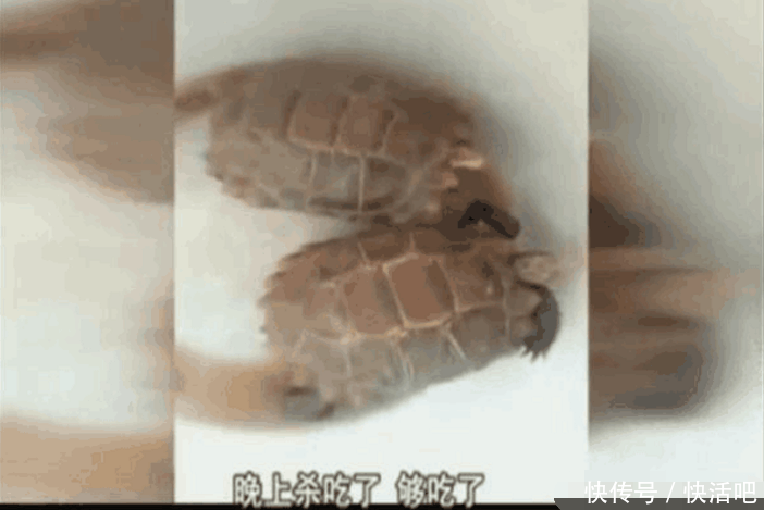 男子发了一条朋友圈 一小时后警察上门抓走了他的父亲 网友: 坑爹