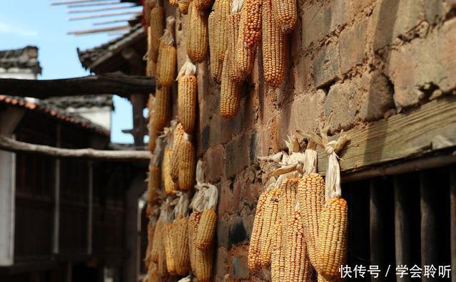 「青年眼中的世界」挂在山崖上的篁岭古村