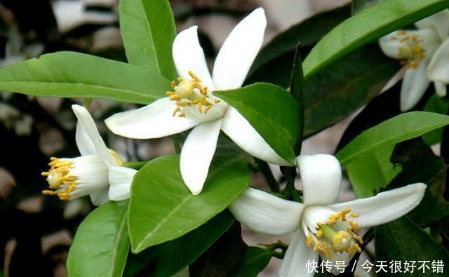 「宿敌」呵护敏感肌肤,五步护肤法,与换季宿敌对对碰