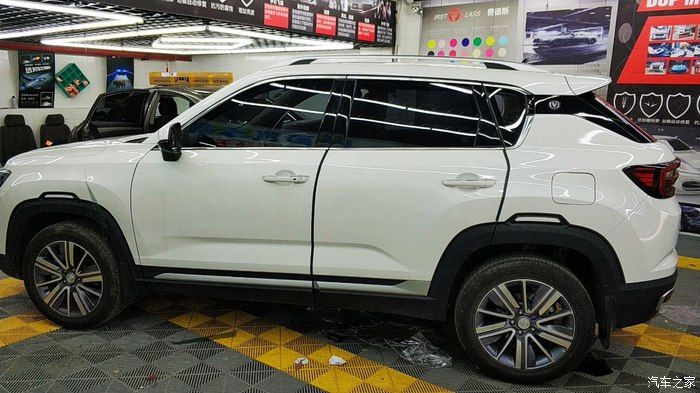 老司机看不了了啊