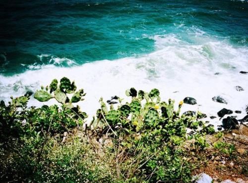 比三亚更值得去！这个海鲜便宜物价低的海滨小城，来了就不想离开