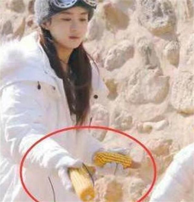 赵丽颖节目中莫名躺枪，被黑粉骂作秀，真爱粉大骂：你是不是瞎？