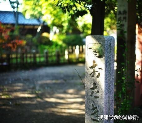  「祈福的灯笼」DAY2日本深度自由行之大阪都门奈良城崎旅行日记
