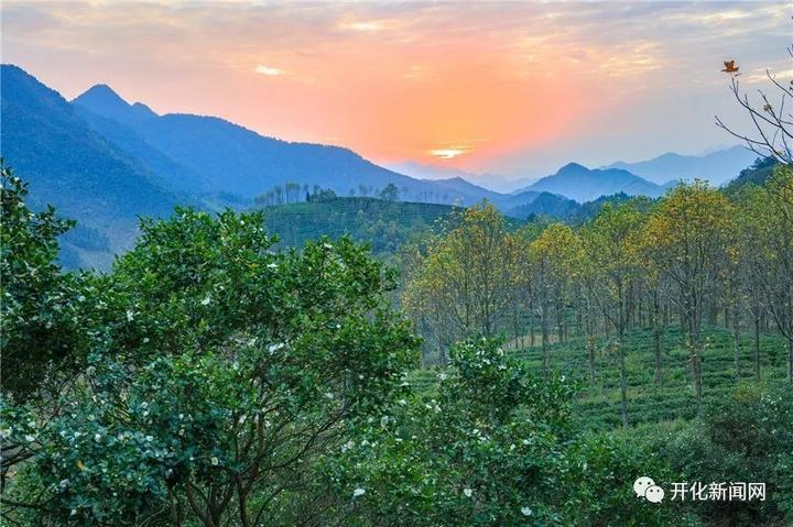 改革开放40年，开化农村发生什么变化？山里农民举了这些例子...