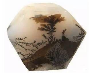 这些万年石头里都藏着一幅画，神奇到你难以置信！！