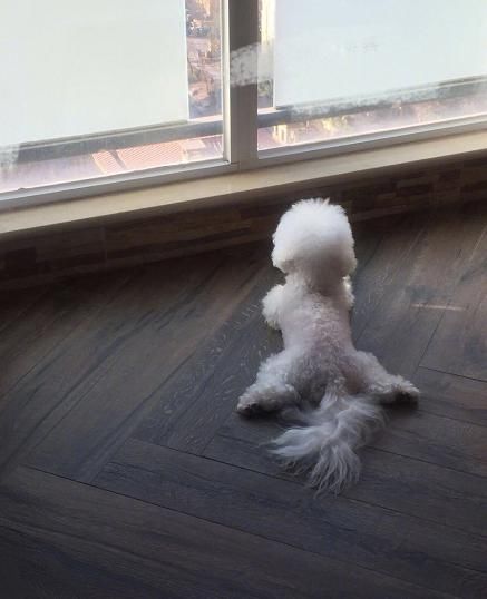 恋情曝光还怀孕？赵丽颖放出2张照片，网友：一下两辟谣，厉害了