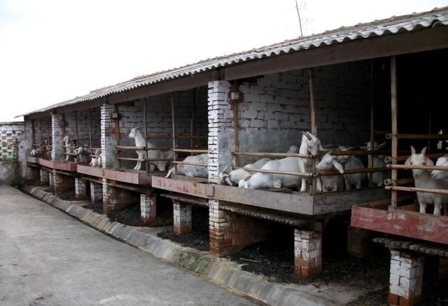 养殖户办理环评