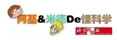 谣言是怎么传播的?