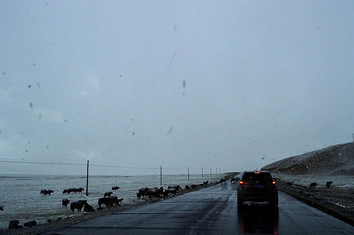 川藏318，我们在路上（15天川藏线自驾游攻略）