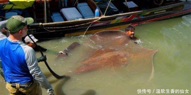 强烈要求李大毛老师停止游钓中国, 远征湄公河降服真正的巨物