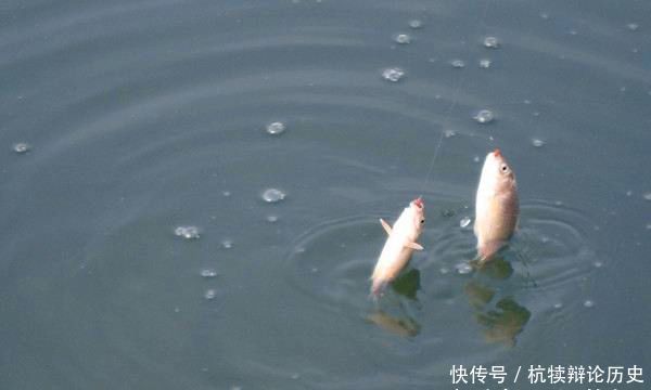  『不见』野塘水底淤泥厚，只见鱼星不见咬钩，可以试试这几招，立马见效！