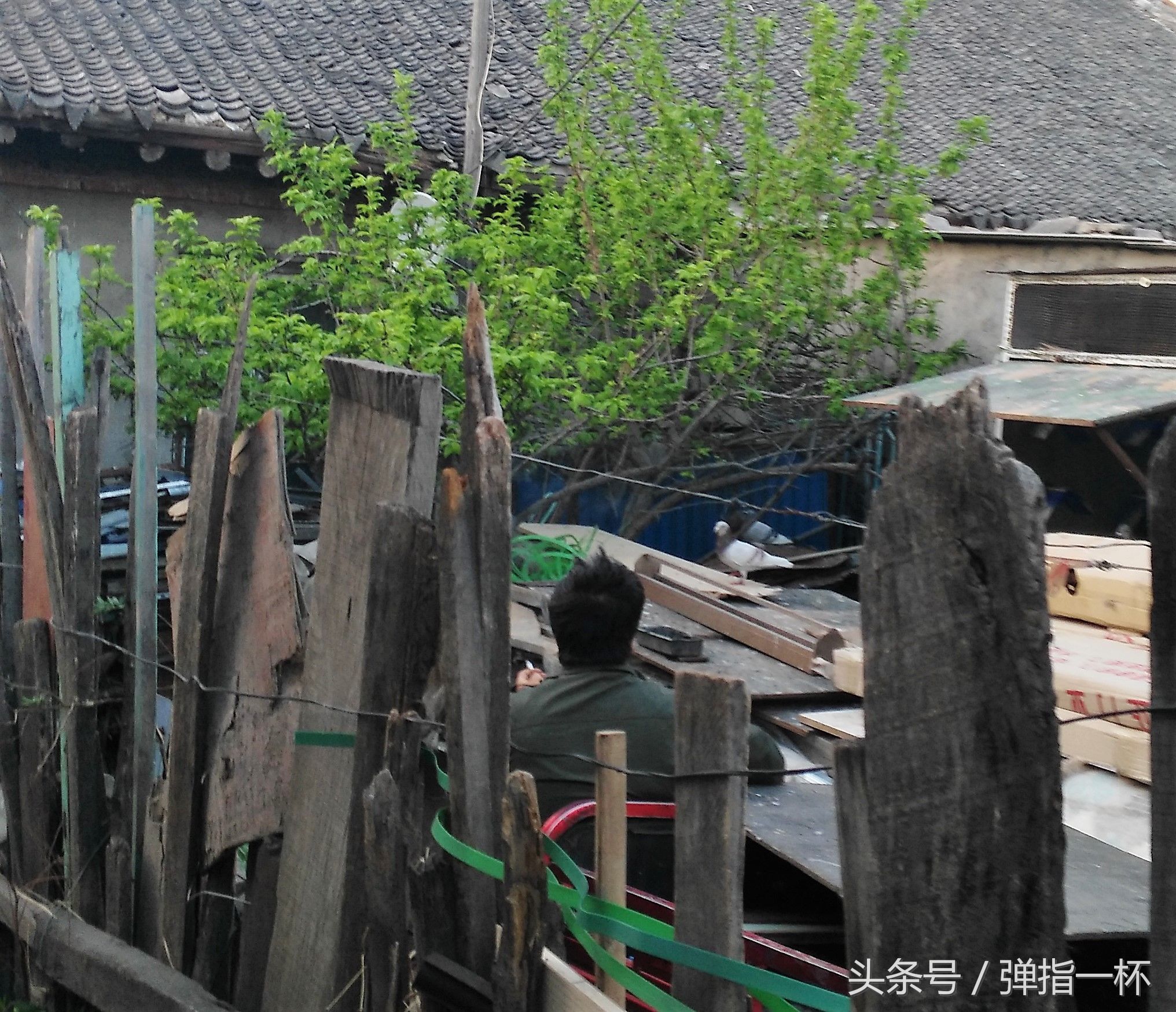 东北小镇老街人们的日常生活，时尚美女聊天的大妈喝酒的大叔都有