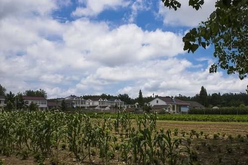  概率：12月起！农村人大概率要为这4样钱发愁？看看你有没有？