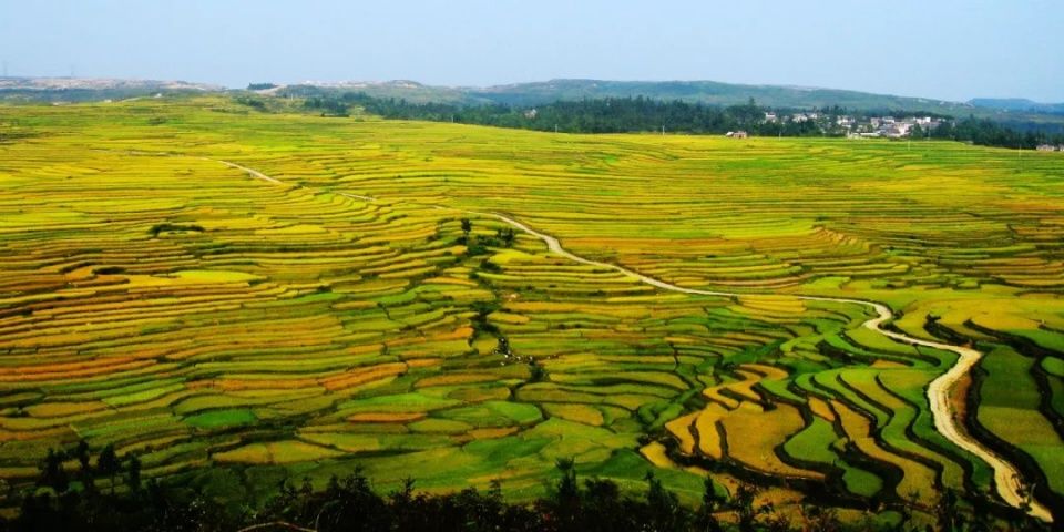 9月,贵州最美的风景竟然在这里,一生要去看一次~