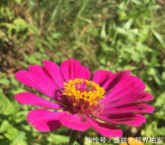 云台山踏秋——立秋后的那一抹姹紫嫣红