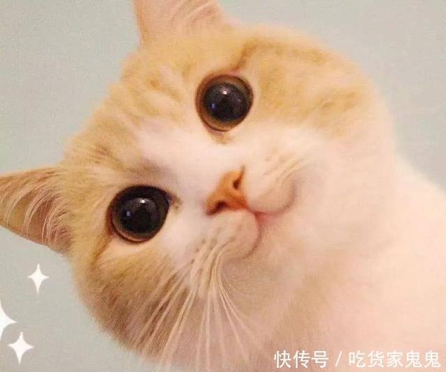 迷人■迷人计丨《庆余年》中宋轶比李沁还惊艳掀帘美人的白玉肌太美了！