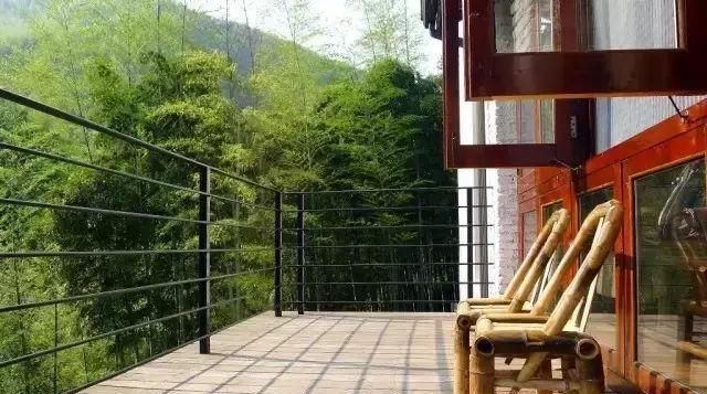  「小院」理想中的乡村小院