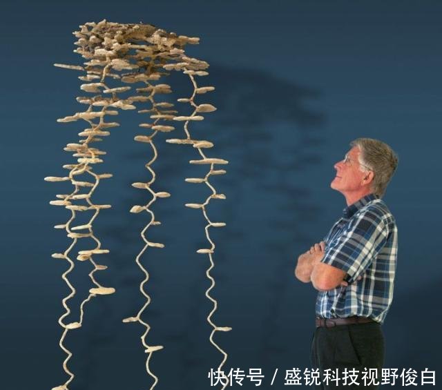 精选一组奇趣图片；北京西山上空出现圆形“航迹云”