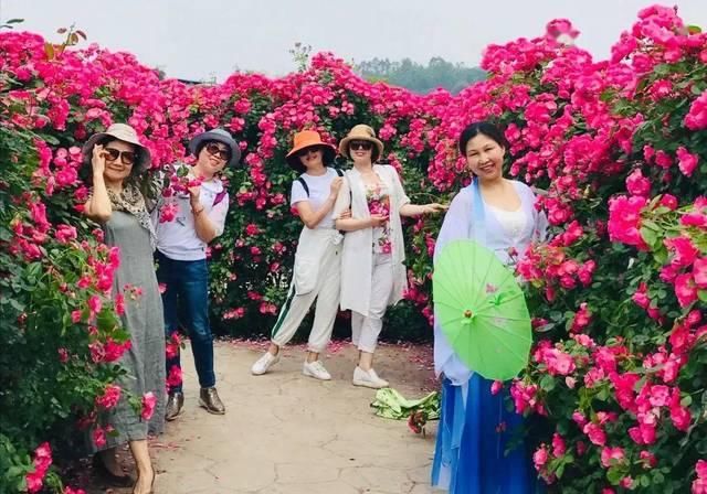 「体温检测」第四届〈花乡玫瑰〉艺术节!门票无限量免费送!