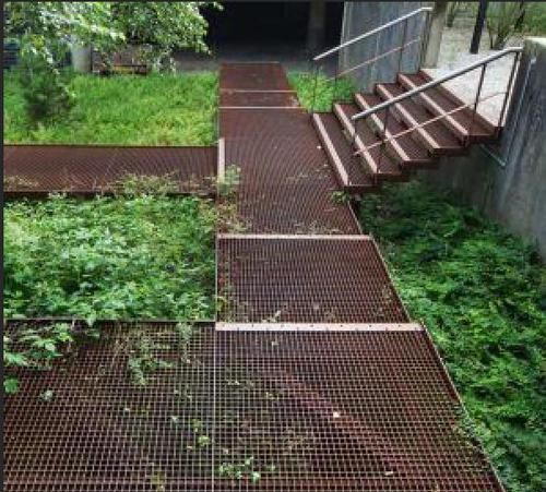 『地面』不浇水泥地了!在地上铺层金属网,吃菜不用买,铺路还不用多花钱