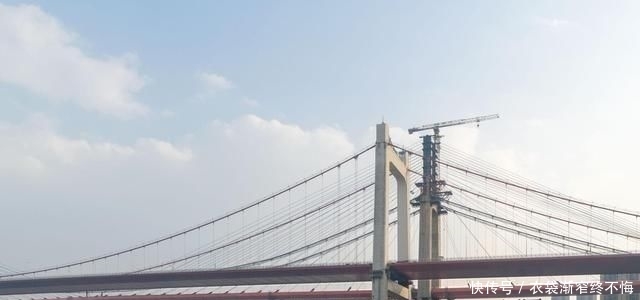  【过江通道】定了！重庆又要新增70多座过江大桥，江津成为了大赢家