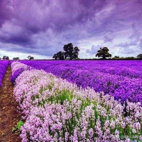 如今在农村，你要是会干、能干一定是大有前程的！干什么赚钱呢？