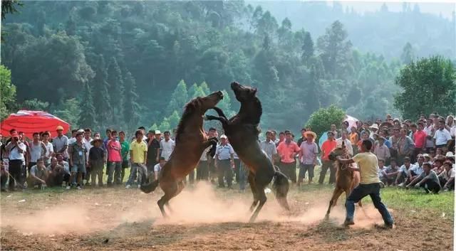 她们都嫁给了农民，但城里人还追到大山里