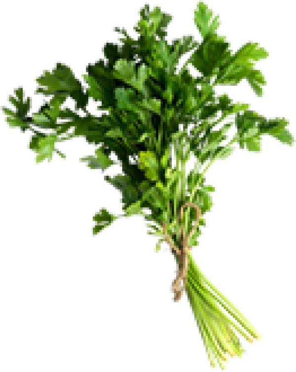 好消息！海口将设60个平价菜便民网点，快看你家附近有没有？