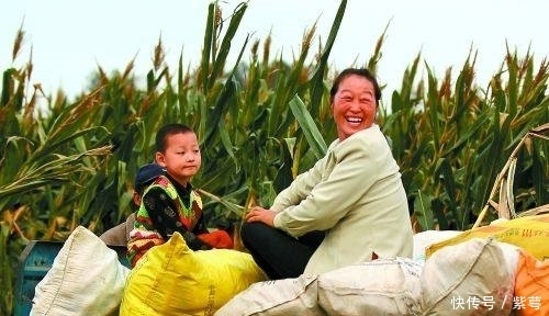 今年起十项费用停收,农民负担小了,四大工程开始,农民有钱赚了！