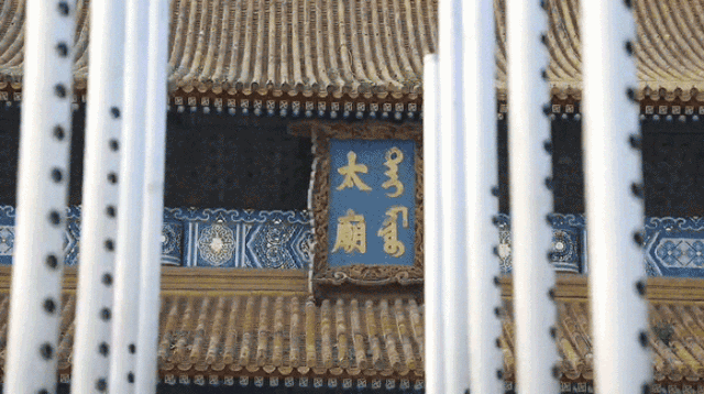 从“爸妈牌”到“刘雯”最爱，不设限就有万般可能