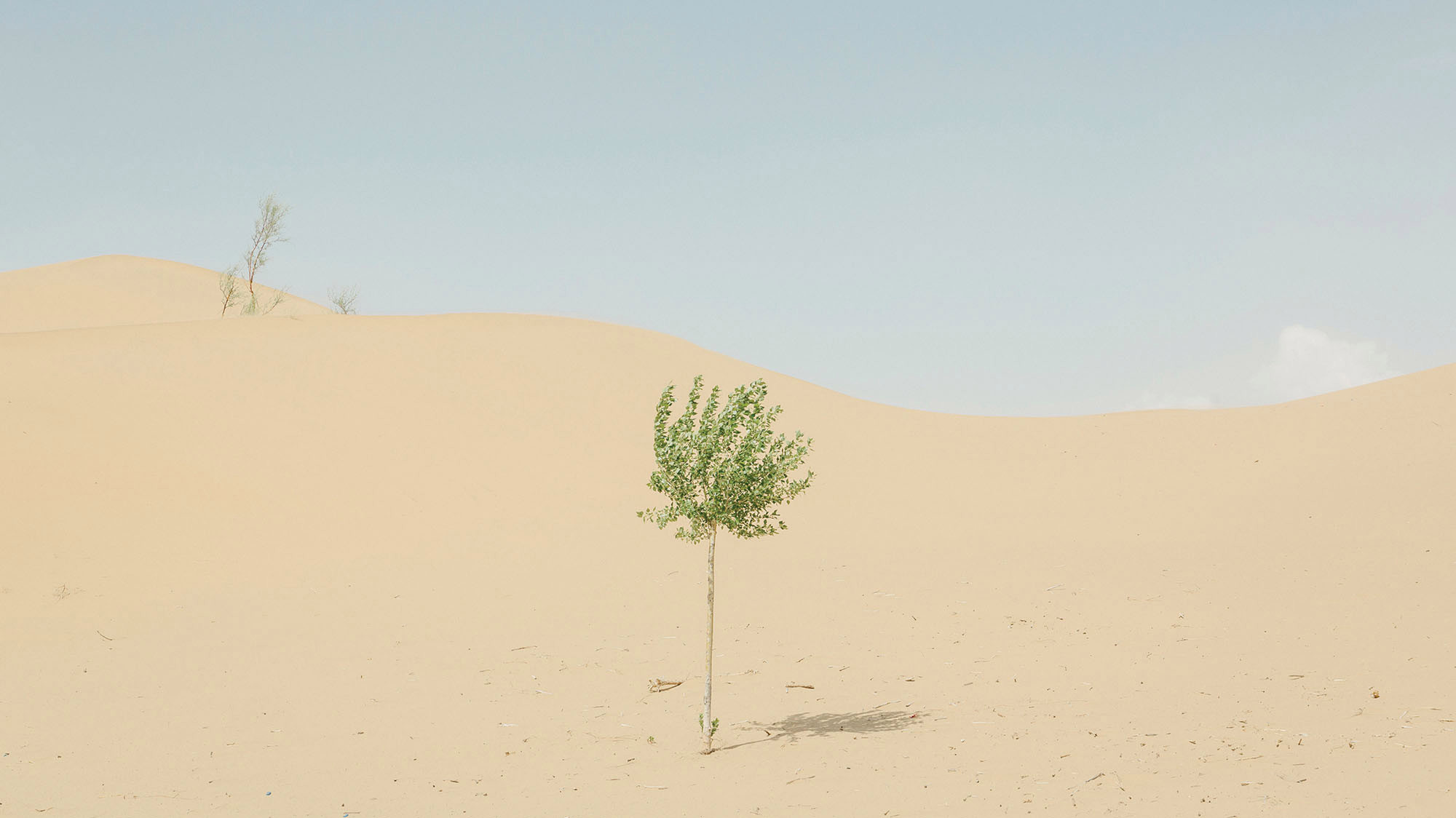 中国式奇迹：村民在电站养鸡羊，比上海大3倍的沙漠1/3变成绿洲