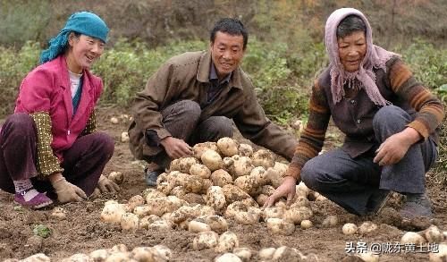 农村未来：没人种地，谁来当农民？