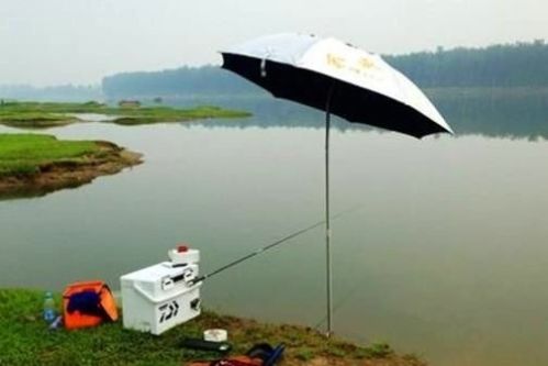 在陌生水库钓鱼，钓点选择的4个要点