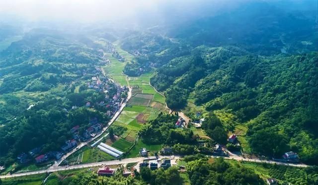 2018城市总结，南京、苏州、武汉、深圳、重庆等城市各有亮点