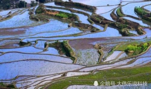 这个县有样东西比其他县都长，至今还未通铁路与高速公路，百姓却