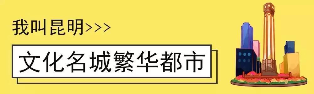 大局已定！2019中国城市发展潜力排名新鲜出炉！昆明位列第28名！