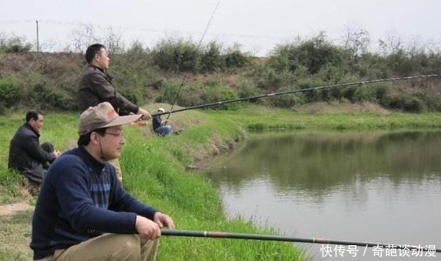  【气压天气时】钓深还是钓浅？这是一个问题...