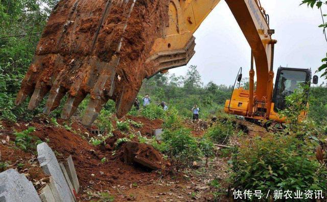 「监管」年底之前，村干部会重点监管4种行为，农民注意别“踩雷
