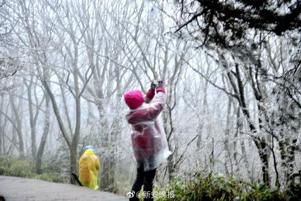 黄山景区现大面积雾凇奇观 本周将迎降雪