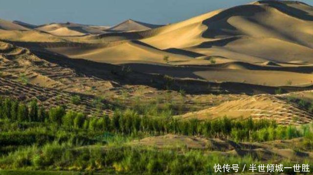 为之骄傲！将黄河水引进内蒙大沙漠，没想到出现了奇迹