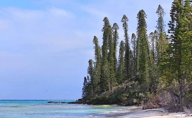 日本年轻人蜜月的首选之地，好多中国人还不知道