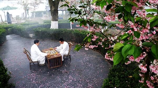 『美景』绵阳初夏最美的摄影美景地,竟然藏在这里