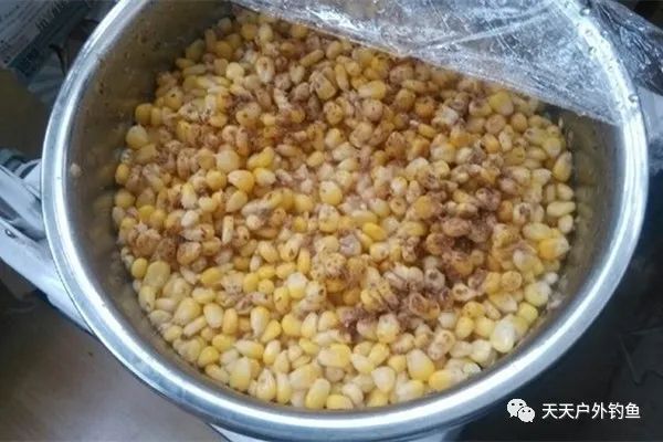 【玉米饵料】春季野钓自制佳饵,小鱼不沾,专钓大鱼,效果杠杠滴!